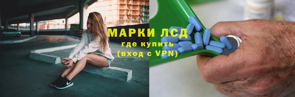 гашиш Богданович