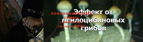 каннабис Богородицк