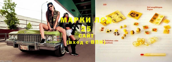 гашиш Богданович