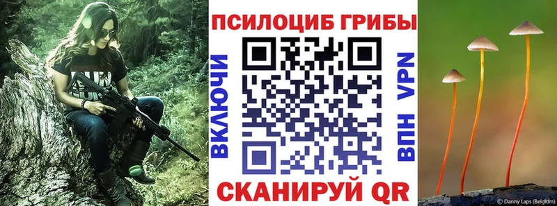мега ONION Реутов Псилоцибиновые грибы Cubensis сколько стоит